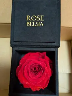 ROSE GALLERY グリッター レッドローズ - メルカリ