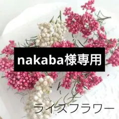 nakaba様 リクエスト 2点 まとめ商品