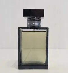 2026年最新】ラルフローレン ロマンス シルバーの人気アイテム - メルカリ