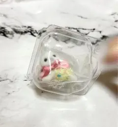 アザラシの赤ちゃん