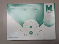 Item thumbnail for item 207efbef-8c2e-4da9-8947-4cd353f2f9cd