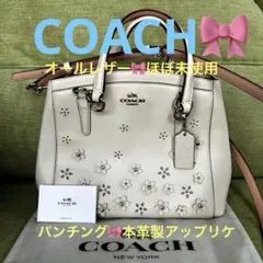 Item thumbnail for item 4ab5d5bc-38a5-42fd-b259-8ca6690d4e7a