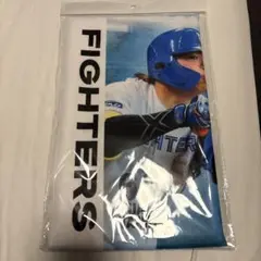 開幕戰！合作毛巾FIGHTERS 田宮裕涼軟銀！野村勇合作毛巾