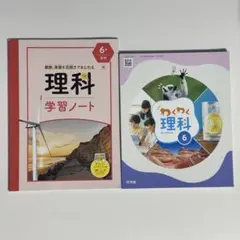 Item thumbnail for item 94e486f4-6a7b-42d7-8169-37531be48c36