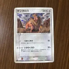 ポケモンカード　ケンタロスのサムネイル