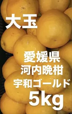 2026年最新】みかんの出品中の人気アイテム - メルカリ