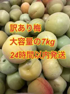 【訳あり梅 7kg 梅酒 梅ジャム 梅干し お菓子 スイーツ カリカリ梅送料込】のサムネイル