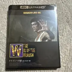 【激レア】レトロ 携帯ゲーム ドラゴン: ブルース・リー・ストーリー 中古 hqdefault.jpg