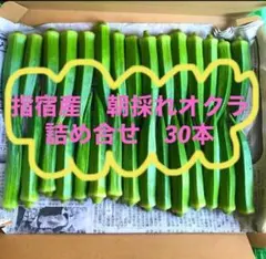 オクラ 朝採れ 産地直送 大きめ30本 ２時間限定値下げ中！！のサムネイル