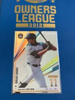 2025年最新】オーナーズリーグ 大谷翔平 インフィニティの人気アイテム