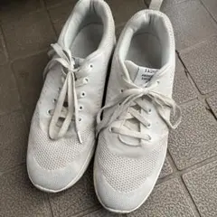 Item thumbnail for item 450edfce-1f75-4f58-b78f-9d237353ab59