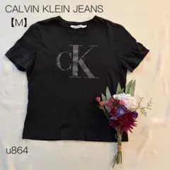 カルバンクラインジーンズ　半袖Tシャツ　綿100% ブラック　【M】