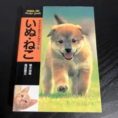 いぬ・ねこ t13