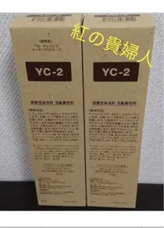 2025年最新】ベルジュバンス メーキングカラーの人気アイテム
