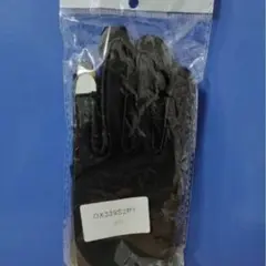 Item thumbnail for item f9c94a56-f0fd-478b-a3c4-f969d3437f3a