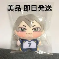 ハイキュー‼︎ ：【木葉秋紀】ちょぴぬいぷち⑥ 2 - メルカリ