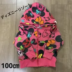 ディズニーリゾート　キッズパーカー　100㎝
