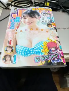 週刊ヤングジャンプ 2024年41号