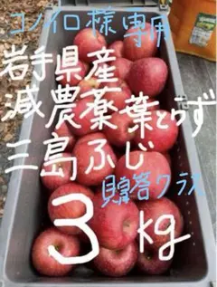 コノイロ様専用★岩手県産減農薬葉とらず三島系サンフジりんご3kg