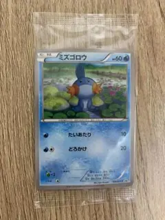 未開封】ミズゴロウ ダブルクライシス 購入キャンペーン PROMO XY