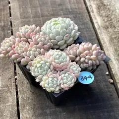 はるふう様 リクエスト 3点 まとめ商品