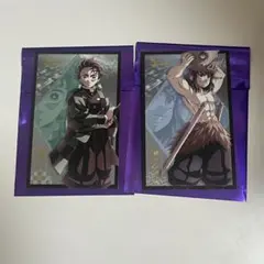 鬼滅の刃　無限城編　ランダムフォトカードB 炭治郎 伊之助