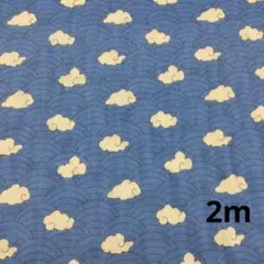 【特価2ｍ】波文様 瑞雲柄　Wガーゼ生地 鬼滅の刃　水色　鱗滝左近次