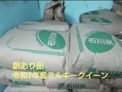 【訳あり】令和7年　石川県産　ミルキークイーン　玄米30キロのサムネイル