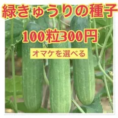 2026年最新】ヒカマ 種の人気アイテム - メルカリ