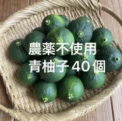 高知県産　本柚子　小玉　10キロ 高知県産 本柚子小玉 10キロ - メルカリ