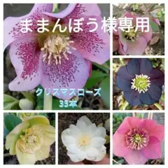 ままんぼう様 リクエスト 2点 まとめ商品