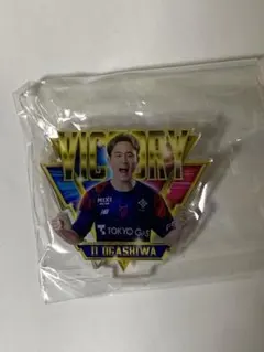 Item thumbnail for item ef9e36e2-282a-4de7-9fbd-90368f10fa92