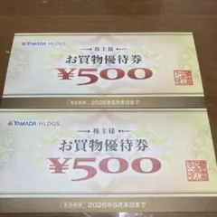 ヤマダホールディング　お買い物優待券