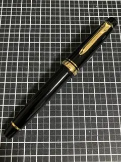 プロギア21Kカスタム研究の中心に据えたセーラー本家の一本