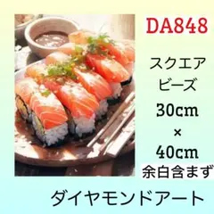 DA848☆ダイヤモンドアートキット☆カリフォルニアロール