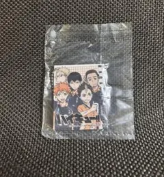 ハイキュー　メンバー背比べ定規　キーホルダー