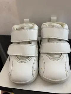 Item thumbnail for item 4779bb03-0c9c-4196-bd05-0b65af71b4b7