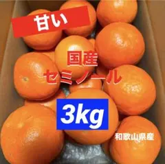 543)数量限定 甘すぎる せとか みかん 有田産 果物 - メルカリ