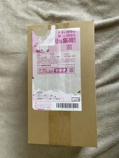 ベ*ル様 ポケモンセンタースペシャルBOX ヒロシマ　ダンボール未開封シュリンク