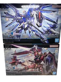 HG マイティーストライクフリーダム ライジングフリーダム セット売り