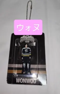 SEVENTEEN HOME ウォヌ アクリルキーリング アクリルキーホルダー