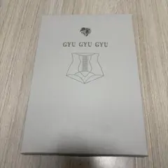 【新品】未開封 GyuGyuGyu 骨盤ベルト ガードル 骨盤 夏 メッシュ M