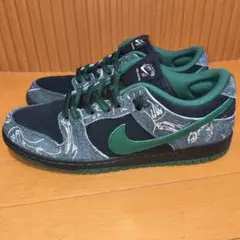 ゼアスケートボード ナイキ ダンク ロー SB プロ