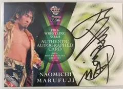 プロレスリング・ノア ozawa 内藤哲也 ポスター B2サイズ 即配布終了