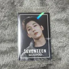 SEVENTEEN ウォヌ　ウエハーストレカ