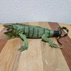 サファリ社　イグアナ　フィギュアのサムネイル