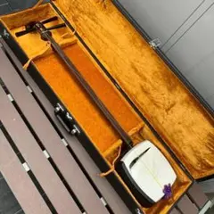 Item thumbnail for item 57b6d99b-e8da-40a9-aaf0-64fd554e92be