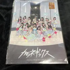 NMB48 クリアファイル カモネギックス 미개봉