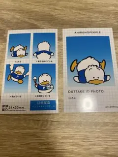 サンリオキャラクターズ 証明写真風スマロイド　あひるのペックル