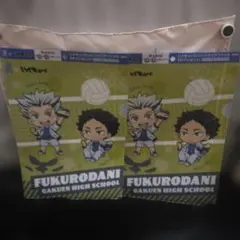 非売品 2枚セット ハイキュー ハイキュー!! クリアファイル 爽
